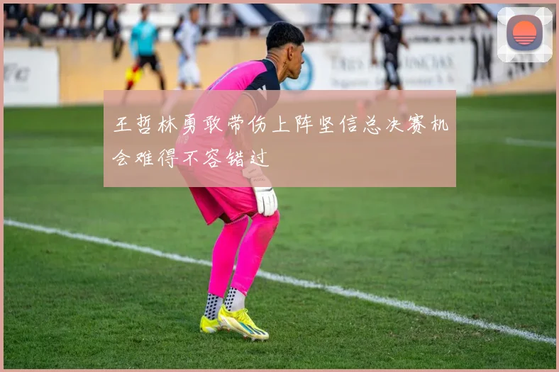 王哲林勇敢带伤上阵坚信总决赛机会难得不容错过